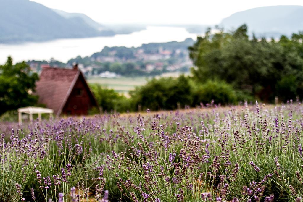 Natura Hill Panzio & Slow Food Fine Bistro Hotel Zebegény Eksteriør billede